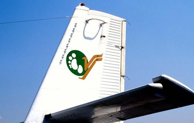 Yeti Airlines, крупнейшая внутренняя авиакомпания Непала. На логотипе — лапа йети.