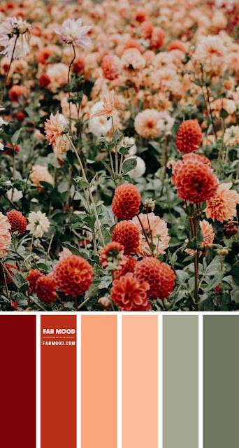 Autumnal Color Coding