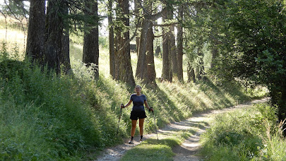 GR5: La Chalp - Château Queyras