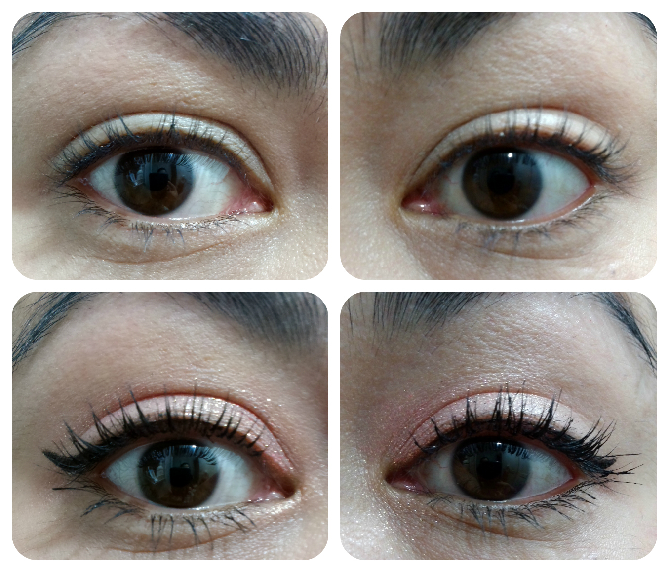 [Etude House] Lash Perm Curl fix mascara Black Korean Beauty Dream
