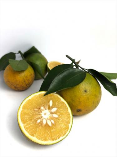 c543d2b4 884d 472a 879f ef6e64e46c1c