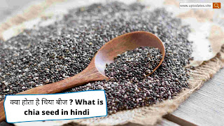 क्या होता है चिया बीज ? What is chia seed in hindi