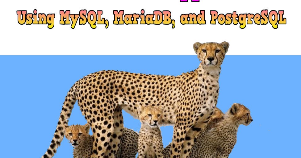 Software Developer and Writer Building Three Java GUI Applications