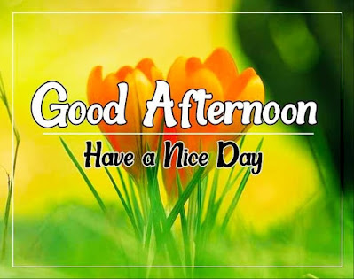 New Good Afternoon Images For WhatsApp