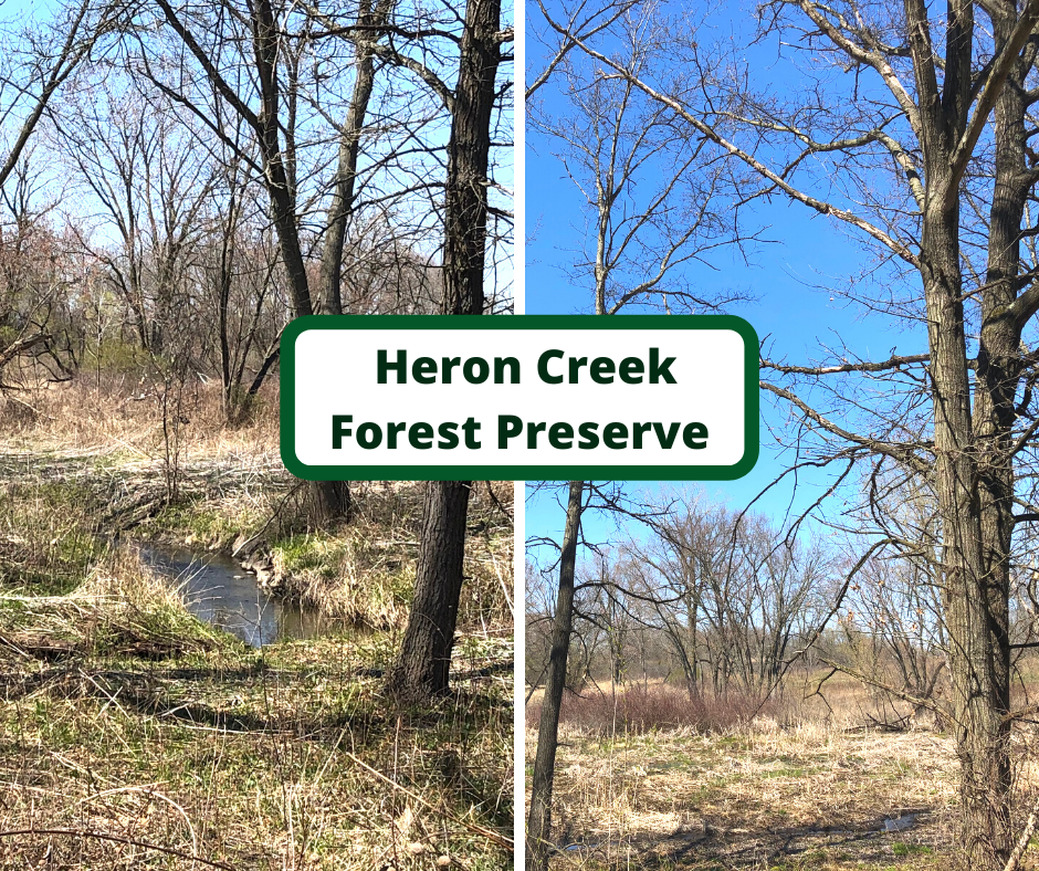 A Little Time and a Keyboard Surrounded by Nature at Heron Creek