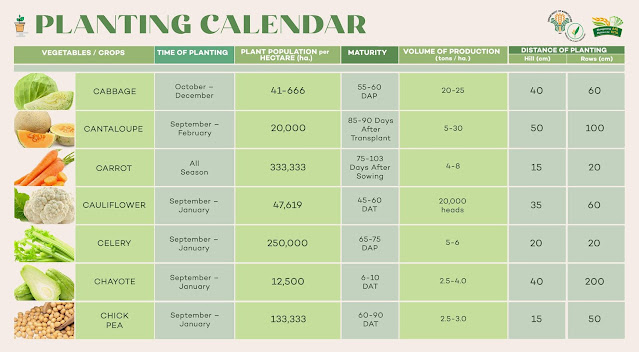 urban gardening, plant calendar, bureau of plant idustry, vegetable garden, urban planting, gardening, farming