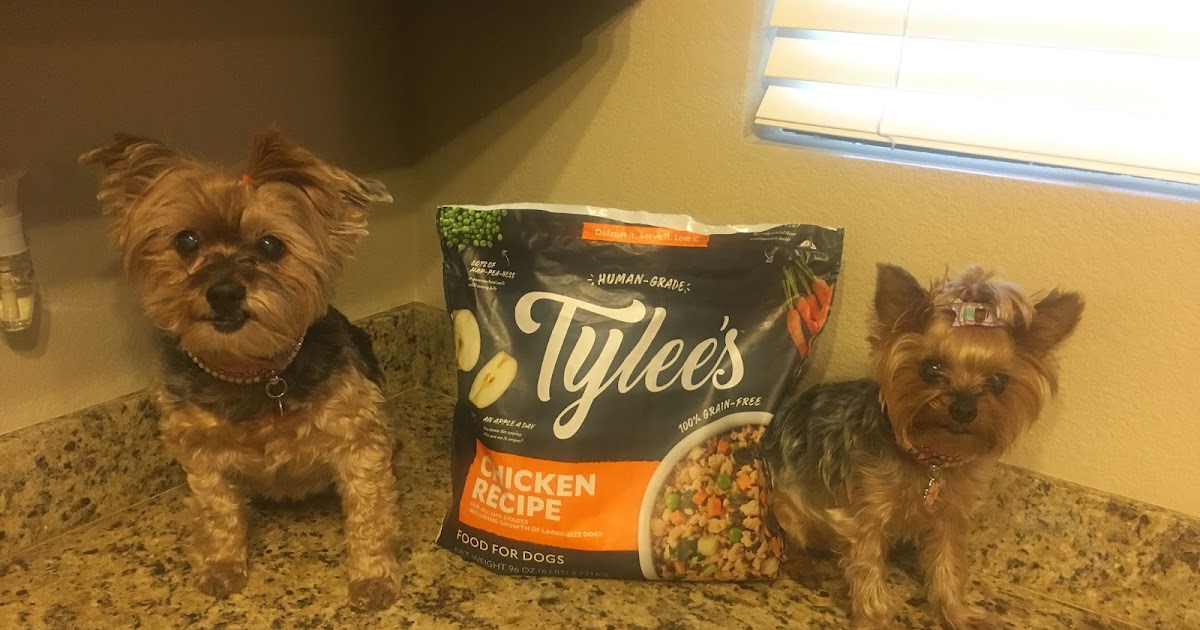 Review Chewy Exclusive HumanGrade Dog Food, Tylee’s.