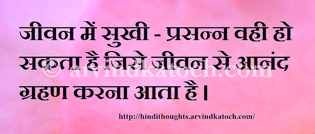 Hindi, Thought, Quote, Pleasure, Life, Picture, Image