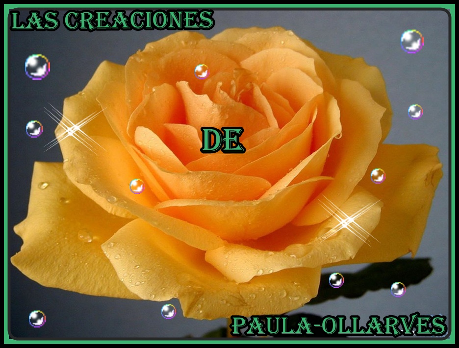 las creaciones de paula