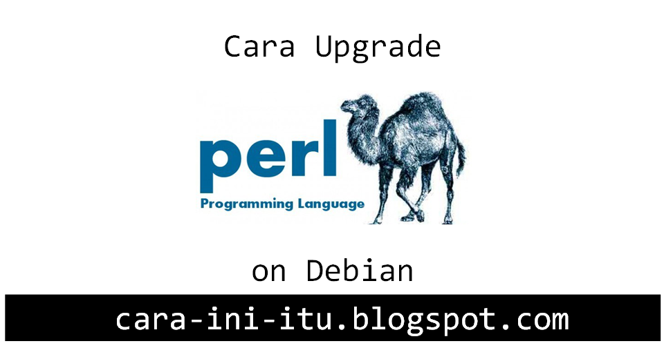 Perl use. Perl use