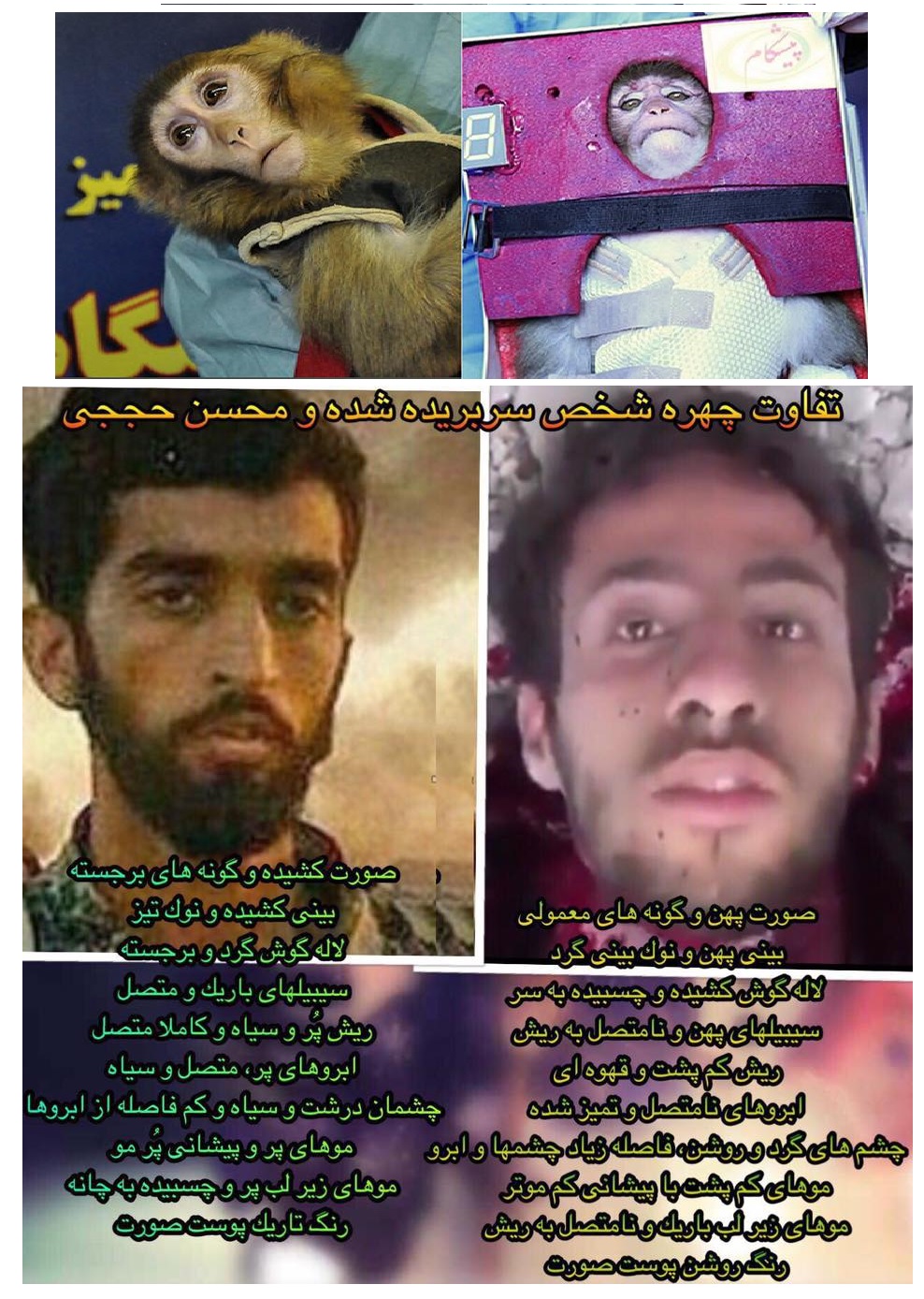 بازی نظام با سر بریده محسن حججی