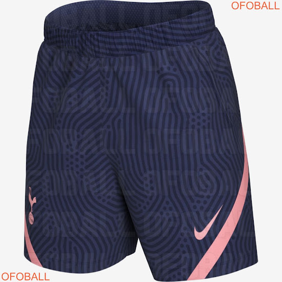 z-pink-nike-tottenham.20-21-training%2B%25286%2529.jpg