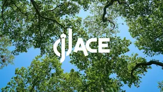 DJ Ace – Peace of Mind (Slow Jam Mix)