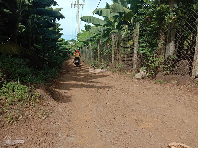 Đất sào bàu hàm Đất sào bàu hàm