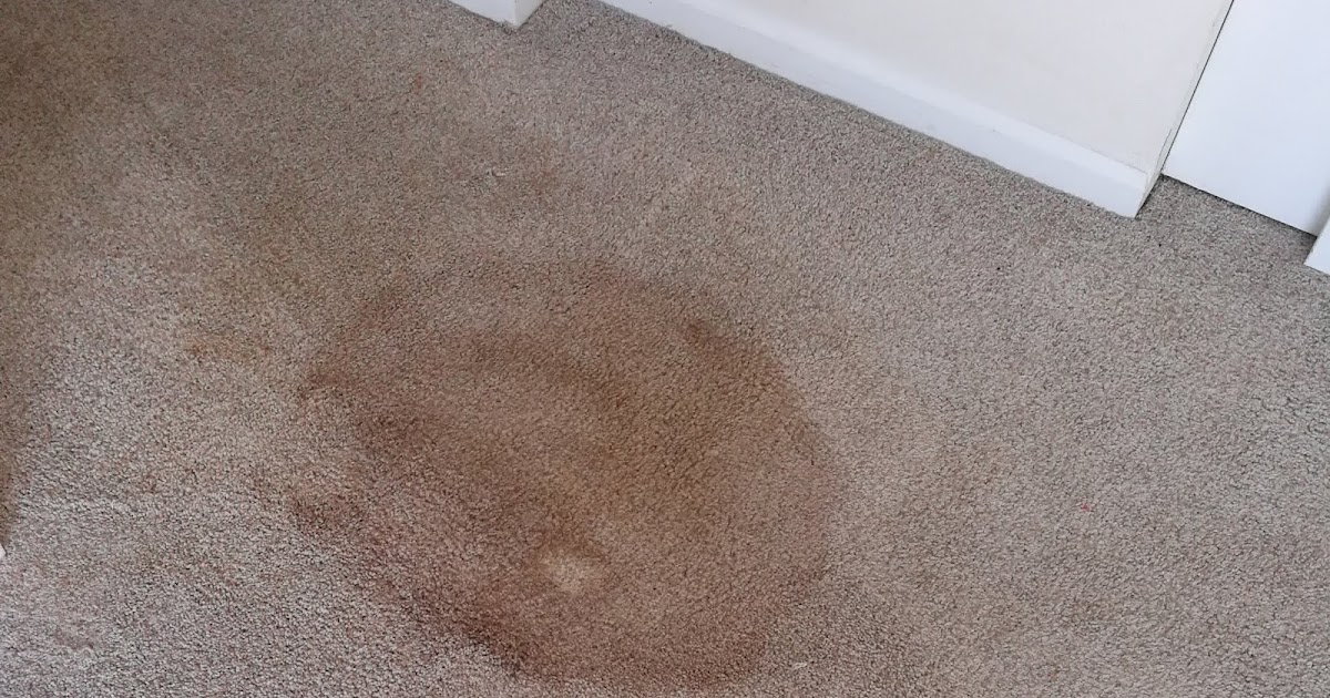 Real Housewife Denver Cleaning old coffee stains off carpet