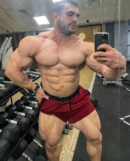 Alpha Muscle Male and Dominant Bodybuilders