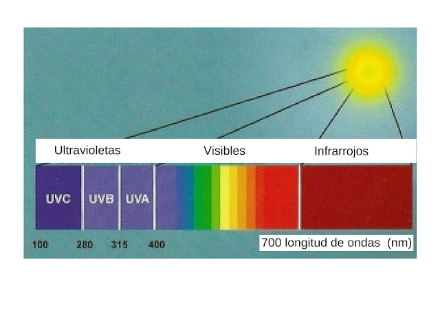 Conoce-cómo-influye-el-color-en-fotografía