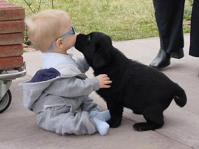 Kids with pets pictures to download