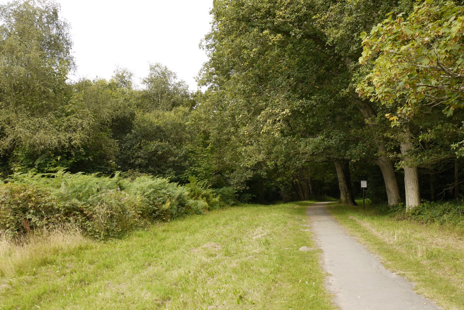 Walking in the country Tunbridge Wells