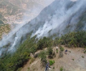 Gulmi_Nepal_Forest_fire_photo