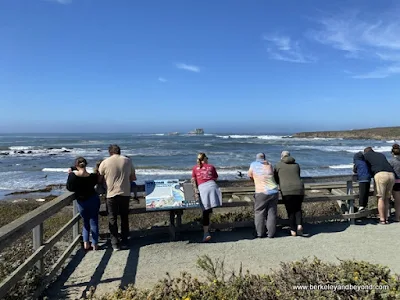 viewers at Piedras Blancas Elephant Seal Rookery overlook in San Simeon, California