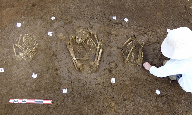 More than 100 pre-Columbian burials unearthed in Guadeloupe