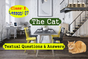 The Cat by Andrew Barton Paterson (Textual Questions and Answers)