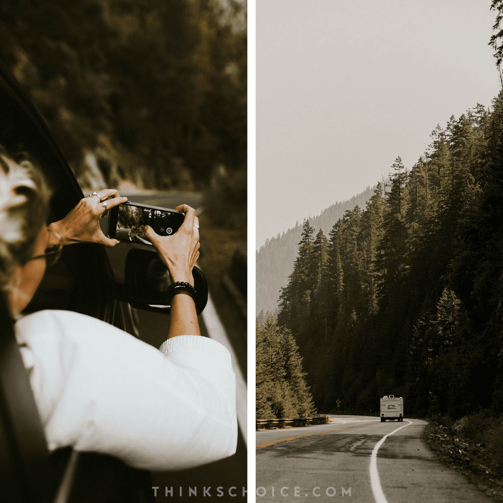 Jungle Presets - Minimal Brown Collection (LR Desktop & Mobile)