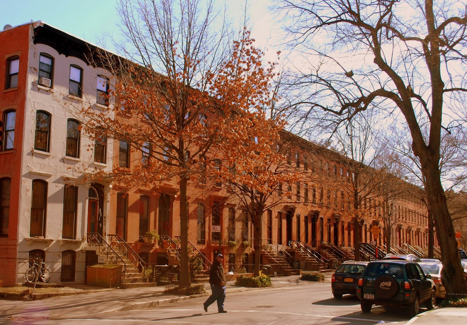 Mille Fiori Favoriti Clinton Hill, Brooklyn