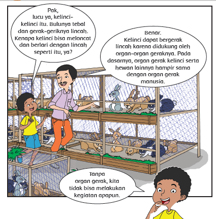 Jawaban Pembelajaran 1 Subtema 1 Tema 1 Kelas 5 Halaman 4 5 6 Operator Sekolah
