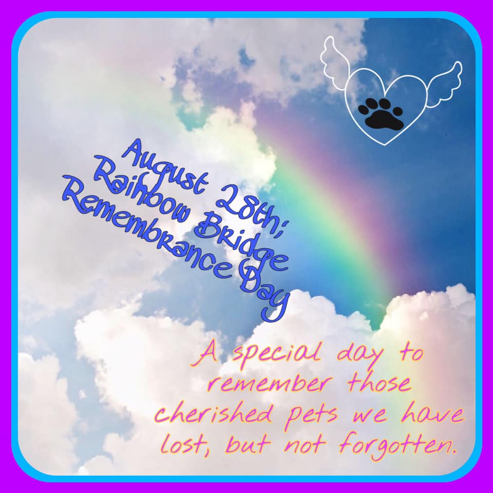 Rainbow Bridge Remembrance Day Wishes Images What's up Today