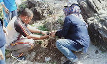 Polsek Tellu Limpoe Ikut Tanam Pohon di Pemerintah Desa Teppo