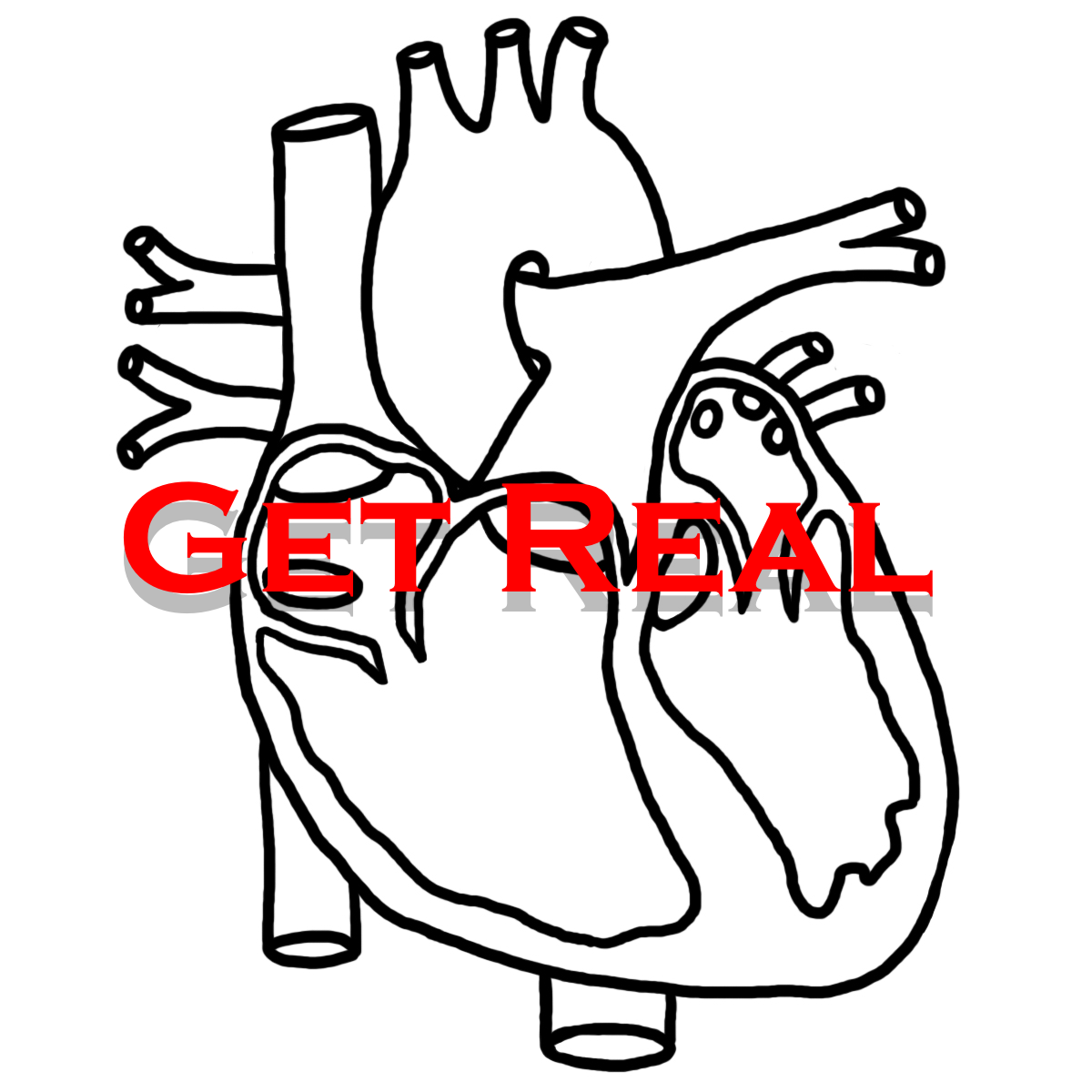 Noah Fried: December 2014