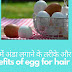 इस तरीके से लगाए बालों में अंडा मिलेंगे कई फायदे - how to apply egg on hair for silky hair in hindi   