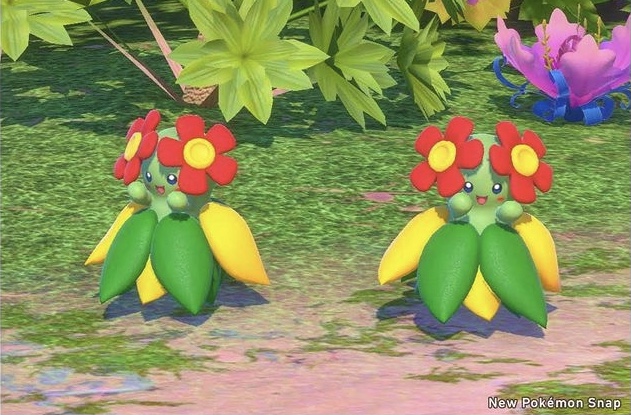 Best beautiful Flower Pokemon designs