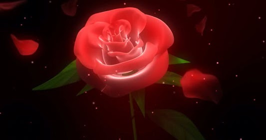 فيديو ورق ورد متساقط لمونتاج فيديوهات الأعراس Hd