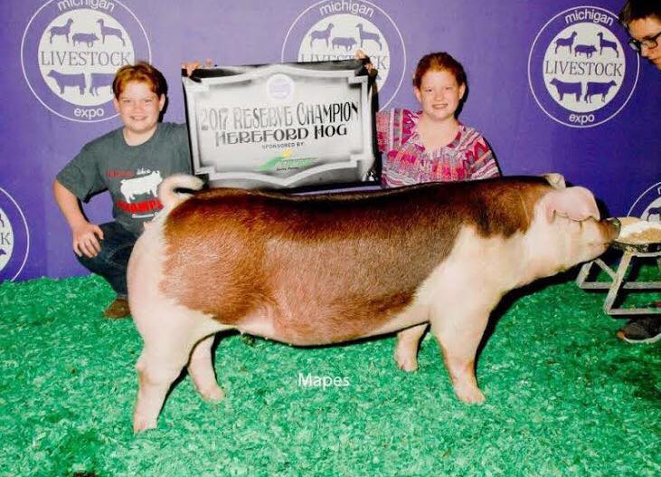 Bona Vista Farm Holly's Herefords
