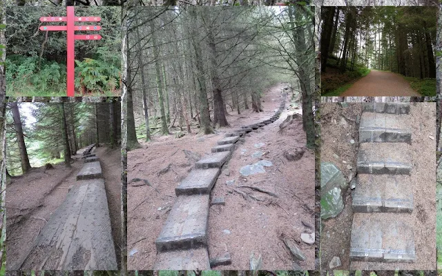 Hillwalking at Glendalough in County Wicklow - Ascending 600 wooden steps through the forest