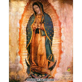 imagenes-virgen-de-guadalupe