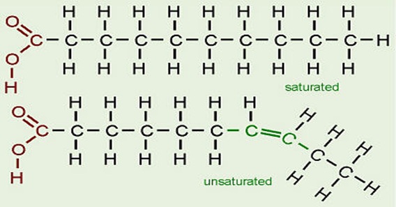 Unsaturated Fat Molecule 45
