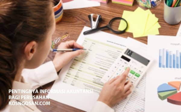 15 Alasan Informasi Akuntansi Sangat Berguna Bagi Perusahaan Kosngosan