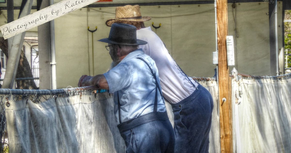 PinecraftSarasota Shuffleboard, Checkers, Bocce Ball