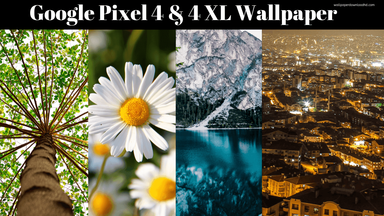 Google Pixel Wallpaper Hd 4k Download