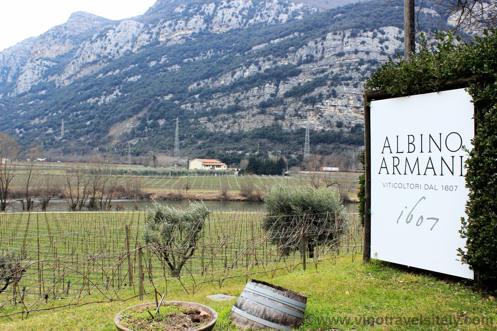 Vino Travels ~ An Italian Wine Blog: The Diversity of Pinot Grigio with Albino  Armani