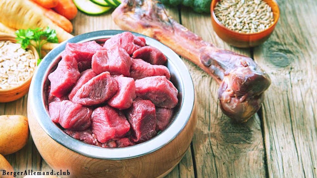 Le Guide Ultime Des Aliments Crus Pour Les Chiens Bergers Allemands