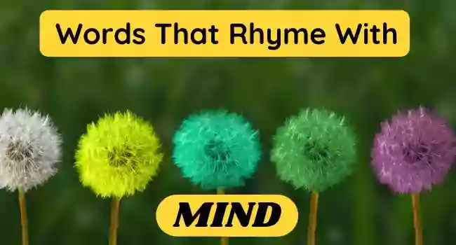 Words That Rhyme With Mind