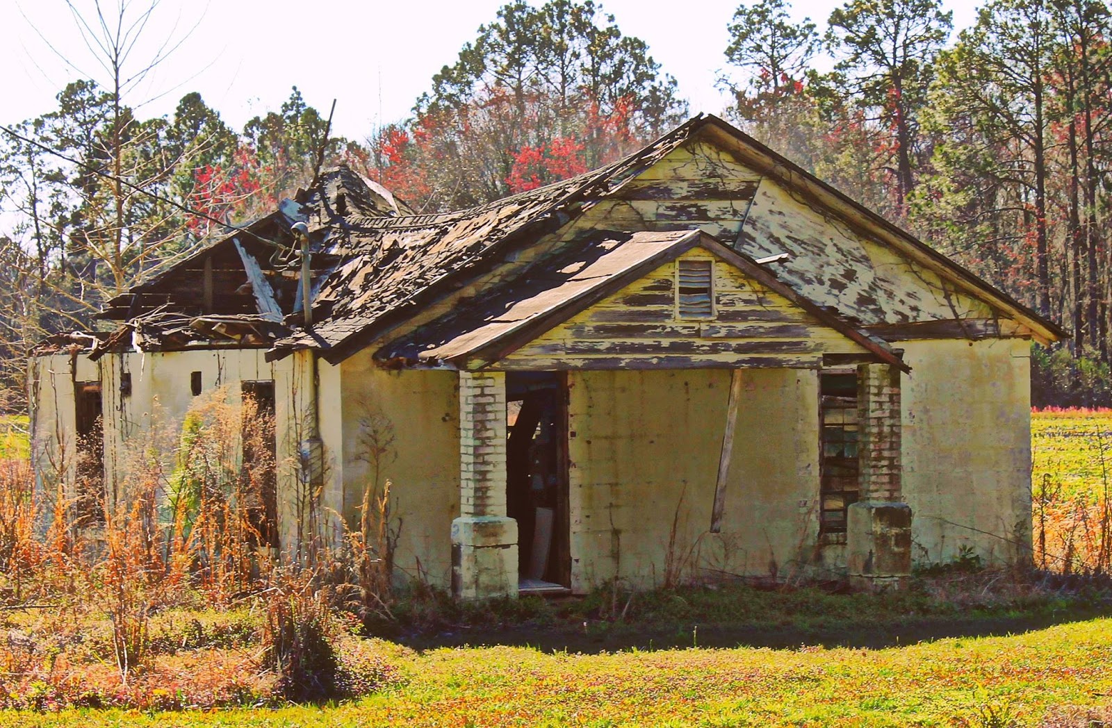 Mora Community in Coffee County