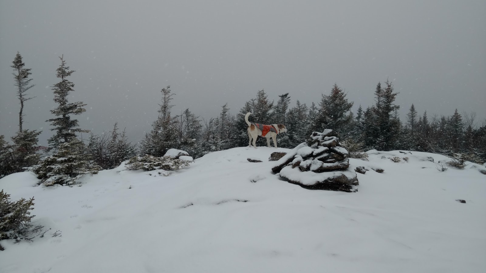 Off on Adventure Knob Lock Mountain Giant Mountain Wilderness 1/4/2020