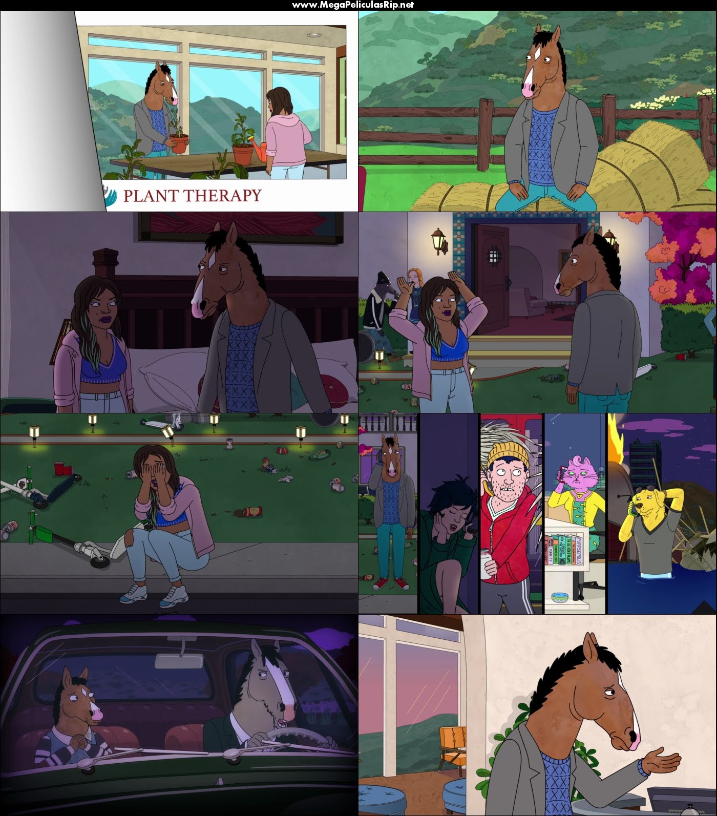 BoJack Horseman Temporada 6 1080p Latino