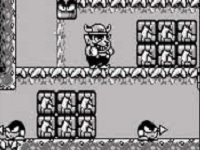 Wario Land Review